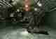 Bgoss : Image JPEG  27K