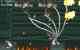LEV60_11 : Image GIF  55K